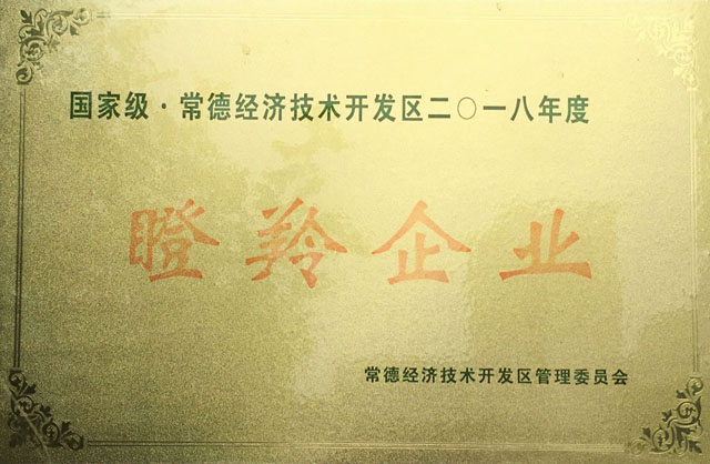 瞪羚企业